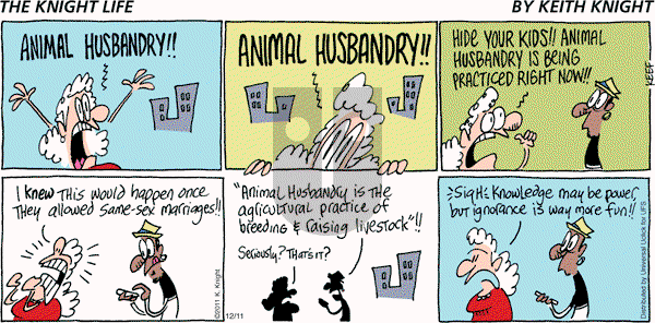 The Knight Life on Sunday December 11, 2011 Comic Strip