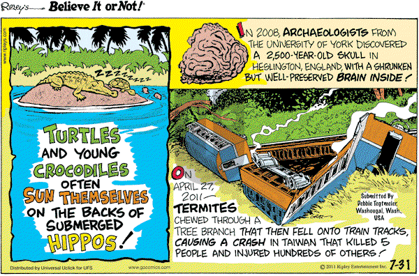 Ripley's Believe It or Not - Sunday July 31, 2011 Comic Strip