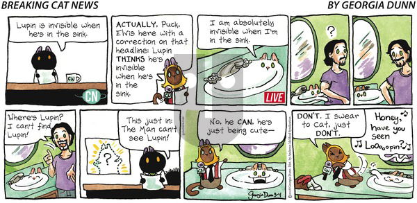 Breaking Cat News on Sunday March 4, 2018 Comic Strip