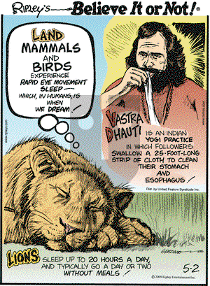 Ripley's Believe It or Not on Saturday May 2, 2009 Comic Strip