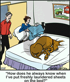 Marmaduke on Saturday November 10, 2018 Comic Strip