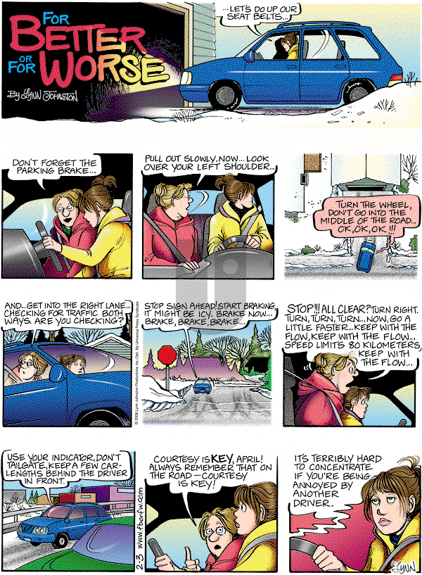 For Better or For Worse - Sunday February 3, 2008 Comic Strip
