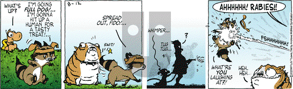 Over the Hedge on Wednesday August 12, 2020 Comic Strip