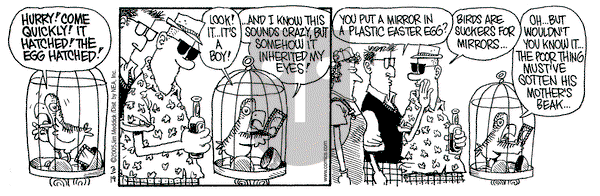 Monty on Saturday March 19, 2005 Comic Strip