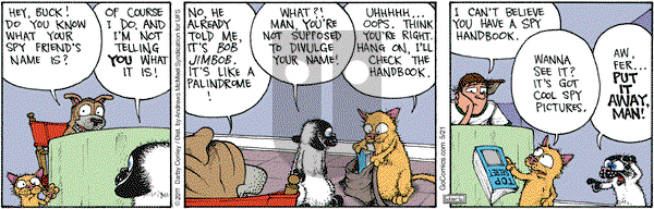 Get Fuzzy on Wednesday May 21, 2025 Comic Strip