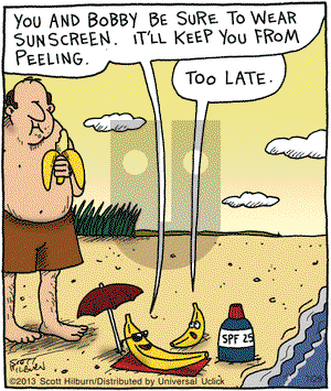 The Argyle Sweater on Monday July 29, 2013 Comic Strip