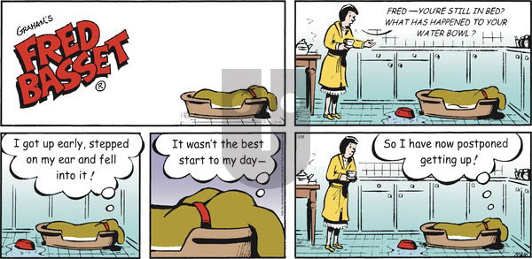 Fred Basset on Sunday February 28, 2021 Comic Strip