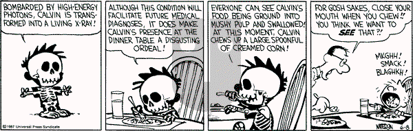 Calvin and Hobbes - Monday June 8, 1987 Comic Strip