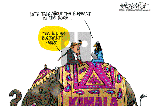 Mike Lester - Thursday August 1, 2024 Comic Strip