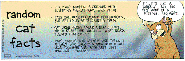 Get Fuzzy on Monday September 26, 2005 Comic Strip