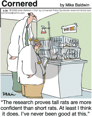Cornered on Tuesday May 30, 2006 Comic Strip