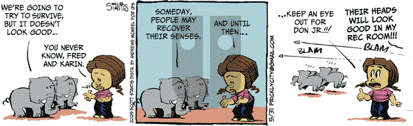 Prickly City on Saturday May 31, 2025 Comic Strip