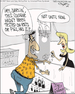 The Flying McCoys on Monday July 23, 2007 Comic Strip