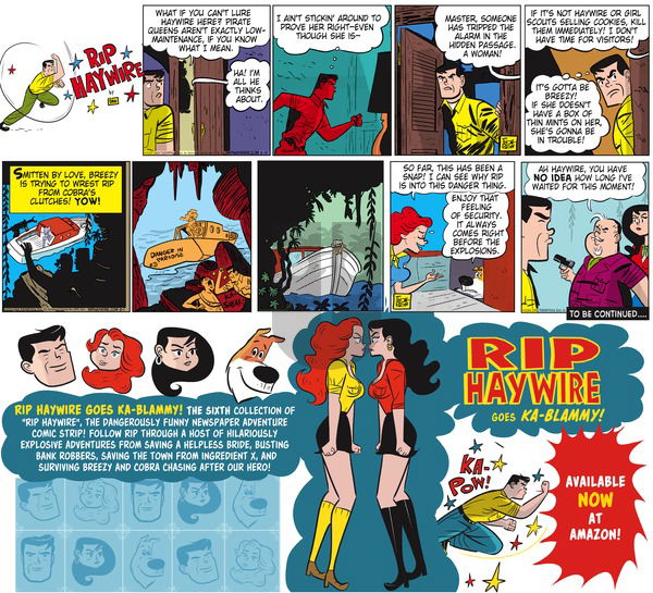 Rip Haywire on Sunday December 27, 2015 Comic Strip