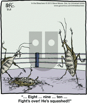 In the Bleachers on Saturday March 28, 2015 Comic Strip