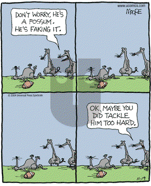 In the Bleachers on Friday November 19, 2004 Comic Strip