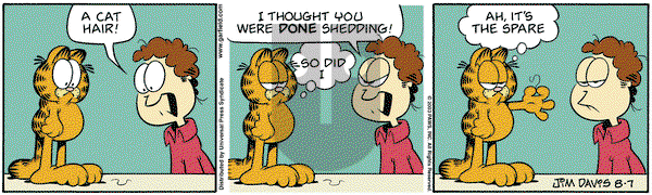 Garfield on Thursday August 7, 2003 Comic Strip