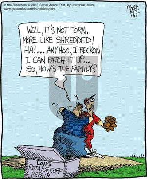 In the Bleachers on Monday June 17, 2013 Comic Strip