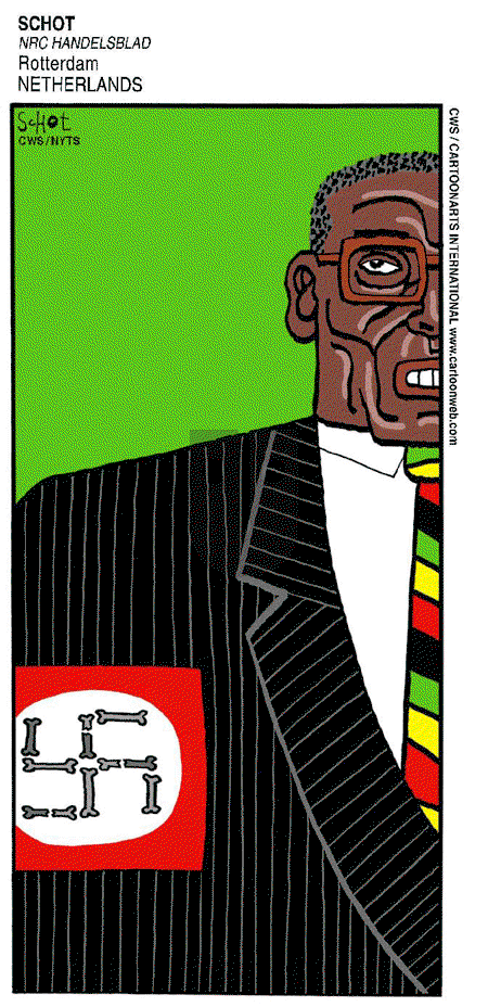 ViewsAfrica on Tuesday July 1, 2008 Comic Strip