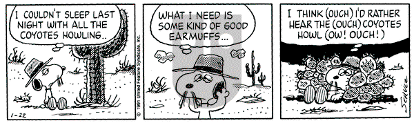 Peanuts on Tuesday January 22, 1991 Comic Strip