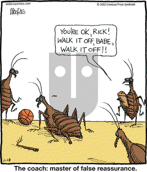 In the Bleachers on Friday January 18, 2002 Comic Strip