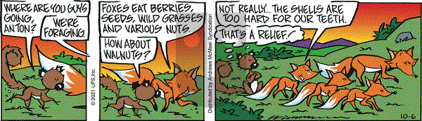 Rose is Rose - Wednesday October 6, 2021 Comic Strip