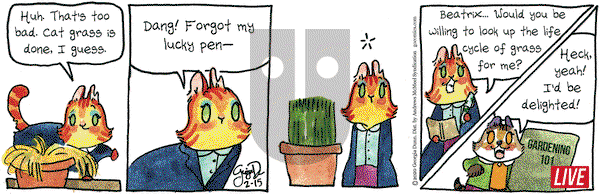Breaking Cat News on Saturday February 15, 2020 Comic Strip