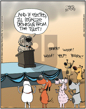 The Flying McCoys on Thursday October 1, 2015 Comic Strip