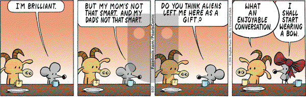 Pearls Before Swine on Monday August 22, 2016 Comic Strip