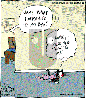 Kit 'N' Carlyle on Tuesday November 2, 2010 Comic Strip