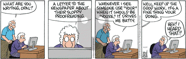 Pickles - Saturday November 27, 2010 Comic Strip