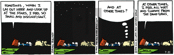 Red and Rover on Tuesday July 31, 2001 Comic Strip