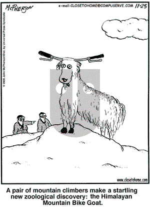 Close to Home on Saturday November 25, 2000 Comic Strip