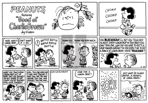 Peanuts on Sunday April 30, 1967 Comic Strip