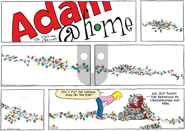 Adam@Home - Sunday December 14, 2008 Comic Strip