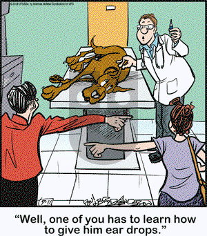 Marmaduke on Tuesday September 11, 2018 Comic Strip