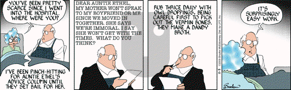 9 Chickweed Lane on Thursday November 5, 2009 Comic Strip