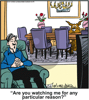 Marmaduke on Wednesday December 8, 2021 Comic Strip