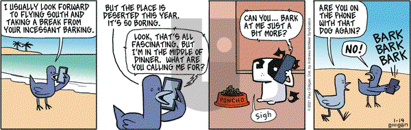 Pooch Cafe - Tuesday January 19, 2021 Comic Strip