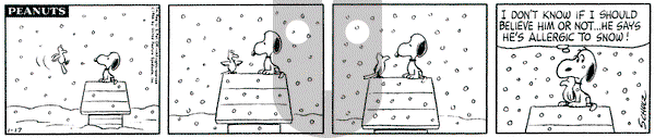 Peanuts on Monday January 17, 1966 Comic Strip