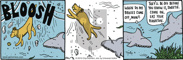 Overboard on Wednesday February 24, 2016 Comic Strip