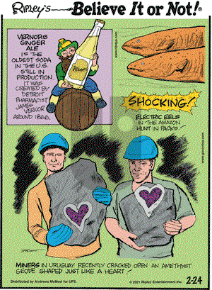 Ripley's Believe It or Not on Wednesday February 24, 2021 Comic Strip