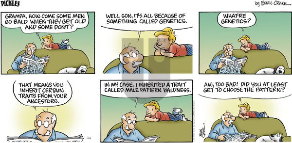 Pickles - Sunday January 26, 2025 Comic Strip