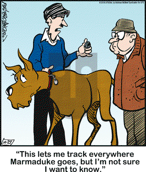 Marmaduke on Saturday October 27, 2018 Comic Strip