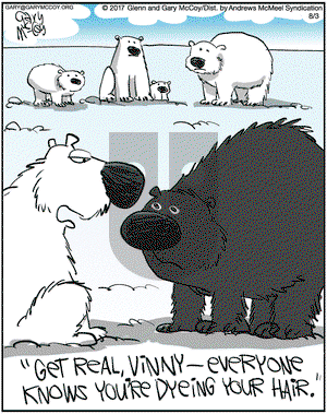 The Flying McCoys on Thursday August 3, 2017 Comic Strip