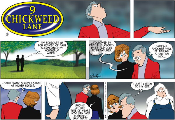 9 Chickweed Lane on Sunday May 8, 2011 Comic Strip