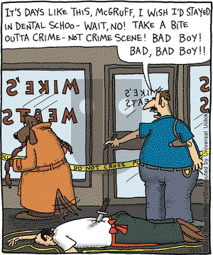 The Argyle Sweater on Thursday October 21, 2010 Comic Strip