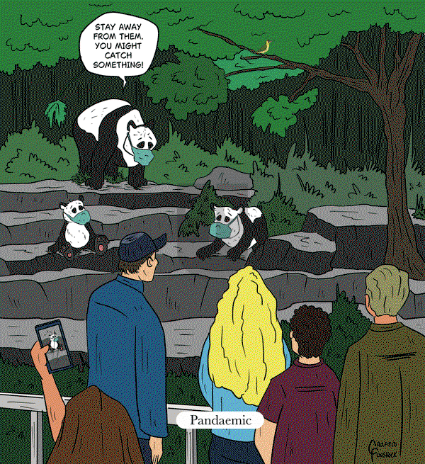 Yaffle on Monday May 5, 2025 Comic Strip