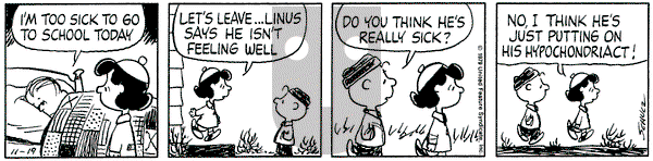 Peanuts on Monday November 19, 1979 Comic Strip