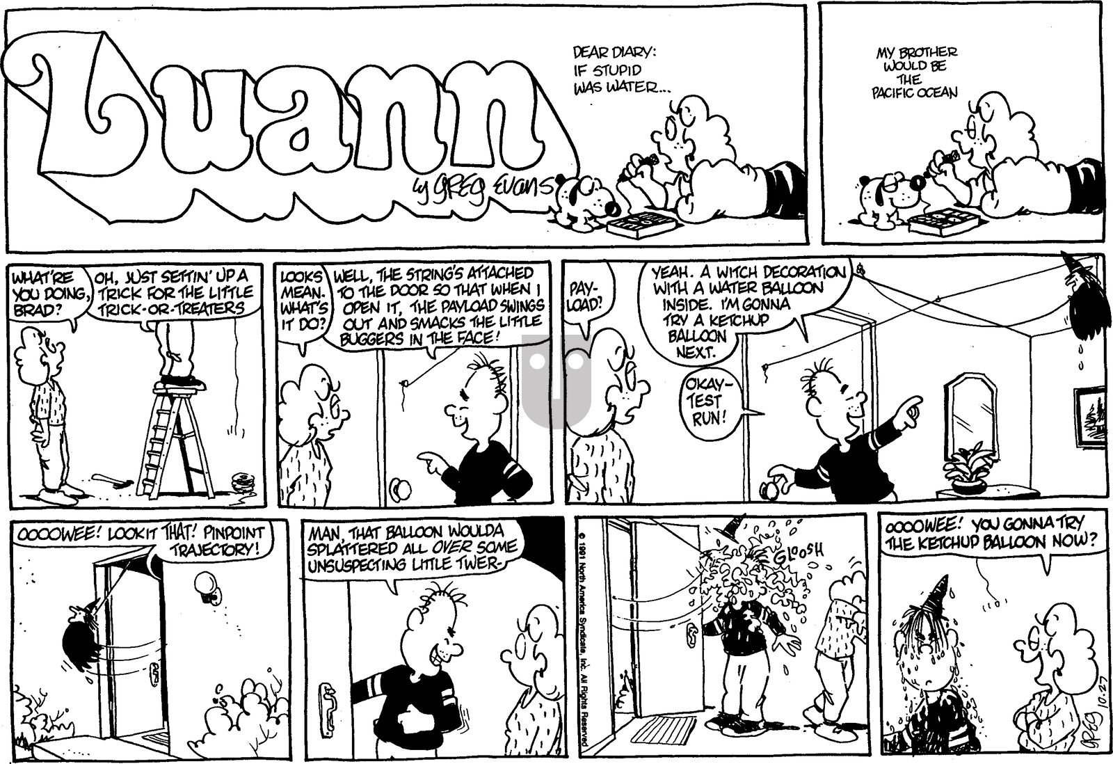 Luann - Sunday October 27, 1991 Comic Strip